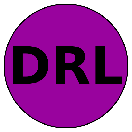 Dynamic Run Labs